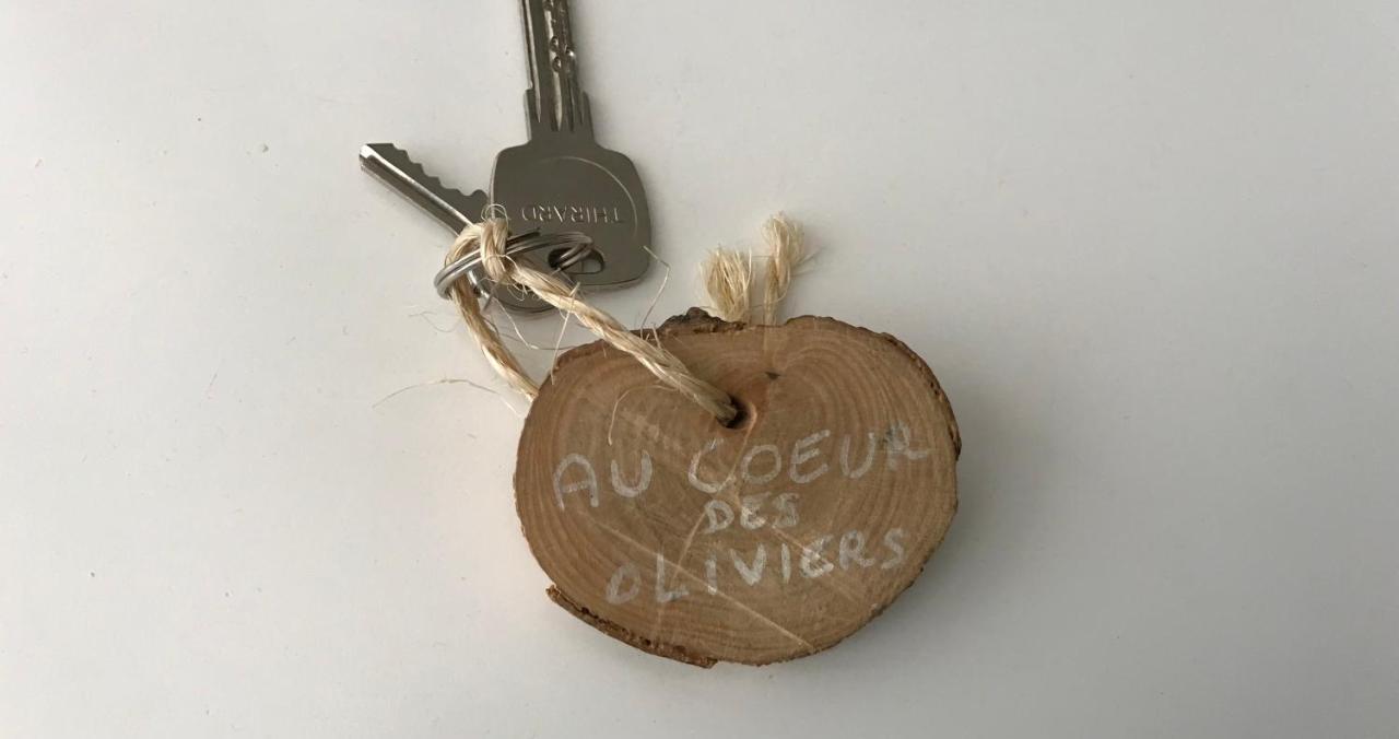 Chambre d hôtes AU CŒUR DES OLIVIERS Marseille Extérieur photo