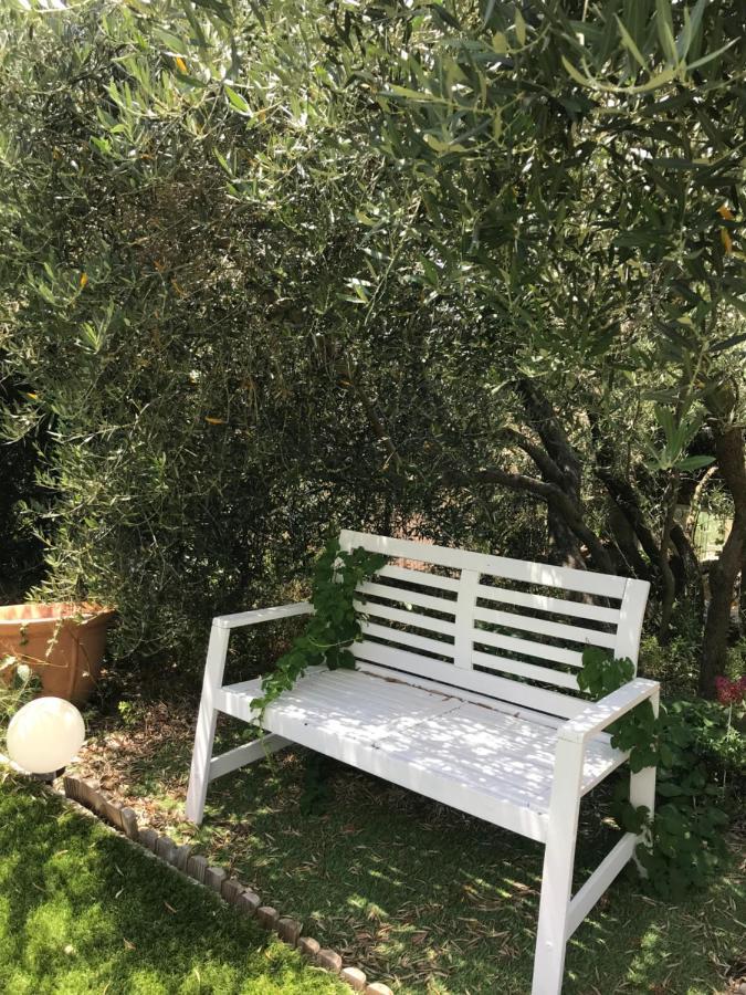 Chambre d hôtes AU CŒUR DES OLIVIERS Marseille Extérieur photo