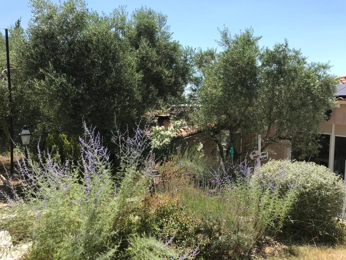 Chambre d hôtes AU CŒUR DES OLIVIERS Marseille Extérieur photo