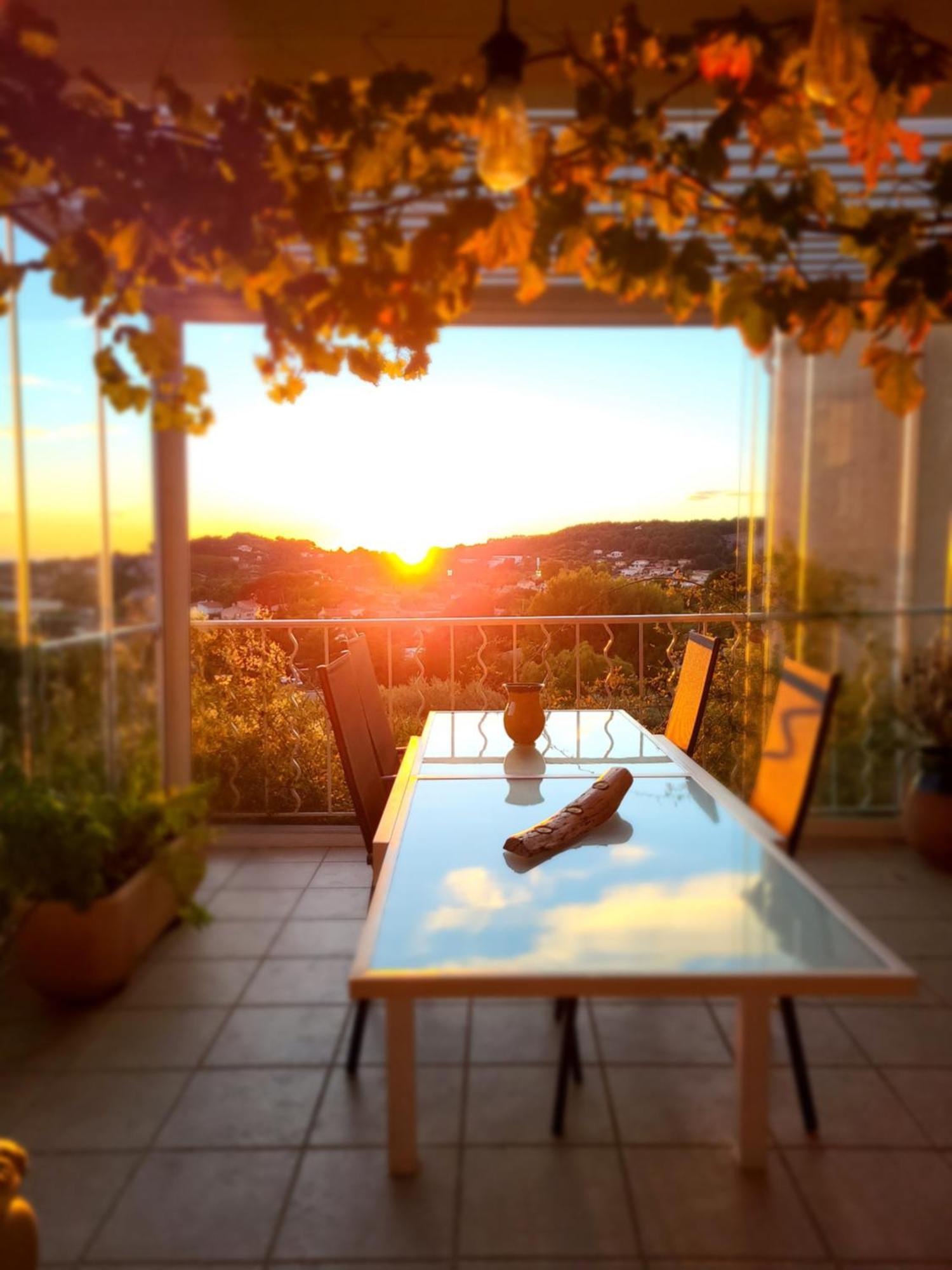 Chambre d hôtes AU CŒUR DES OLIVIERS Marseille Chambre photo